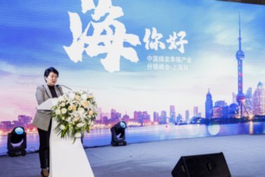 中国绿发投资集团有限公司2025年度确认的营销费、推广合作费只有360万元。
