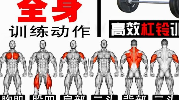 “董训”和“青训”的关键差异