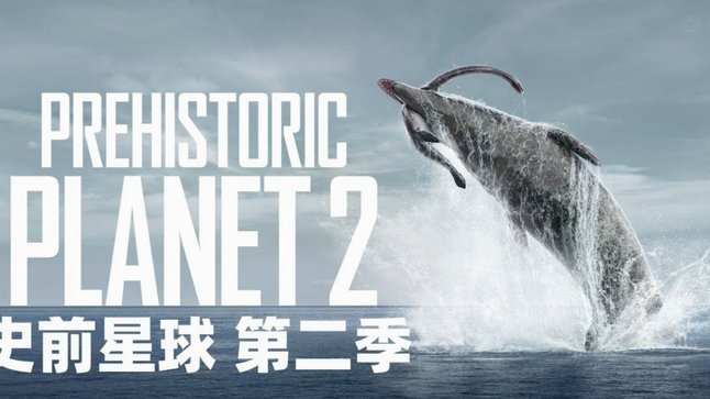 迪尼：哈兰德确实是个怪物，但目前还不是英超历史前十前锋